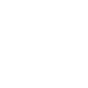 Auto Finesse